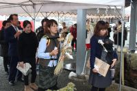 御火焚き祭